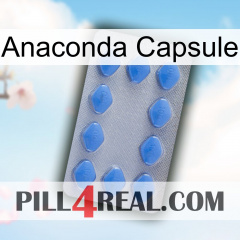 Anaconda Capsule 21